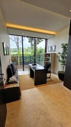 The Green Collection (D4), Terrace #434520531